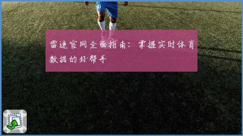 雷速官网全面指南：掌握实时体育数据的好帮手