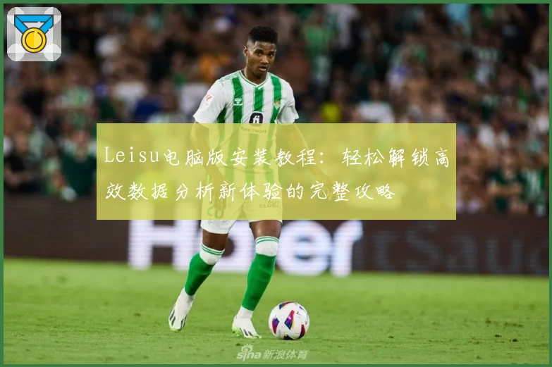 Leisu电脑版安装教程：轻松解锁高效数据分析新体验的完整攻略